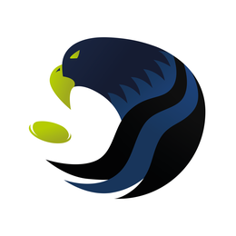  Falcons Limmattal